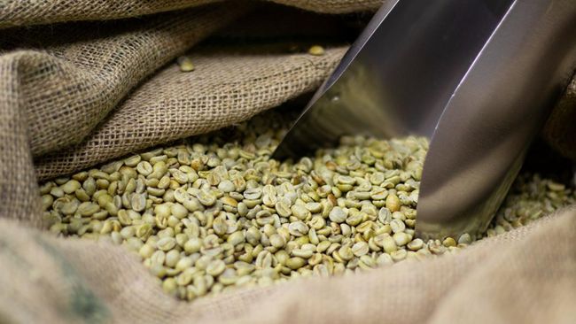 Panduan Cara Minum Green Coffee untuk Diet Turunkan Berat Badan