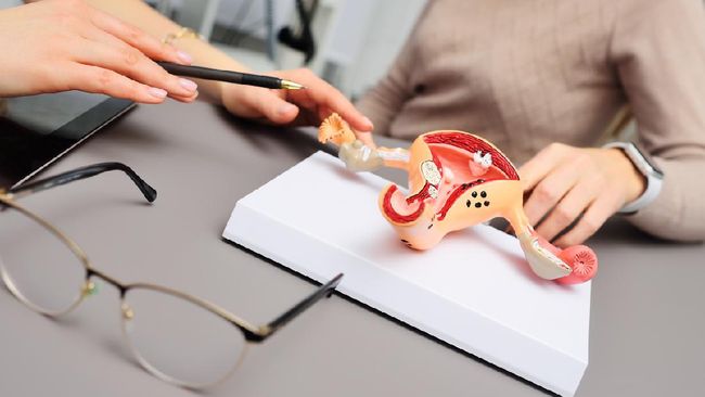 Viral Guru Renang Perempuan Ditendang di Kemaluan, Apa Risiko Kesehatan yang Akan&nbsp;Dialaminya?