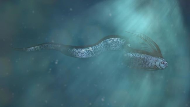 Alasan Munculnya Ikan Kiamat Disebut Tanda Bakal Ada Bencana,&nbsp;Ternyata…